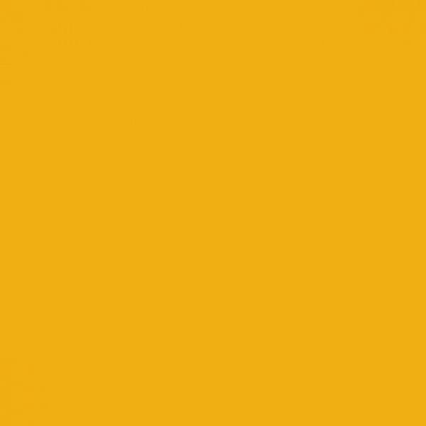 P198 Mango