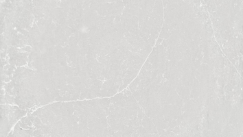 Desert Silver