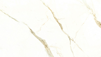 Cava Calacatta Oro Venato Lucidato
